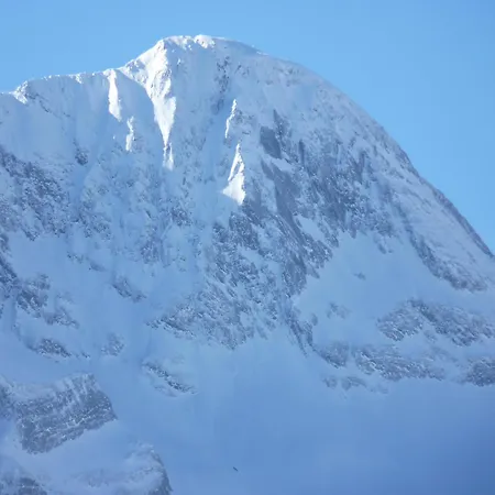 Neustockach דירה