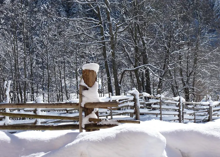 Apartmán Neustockach Gerlos